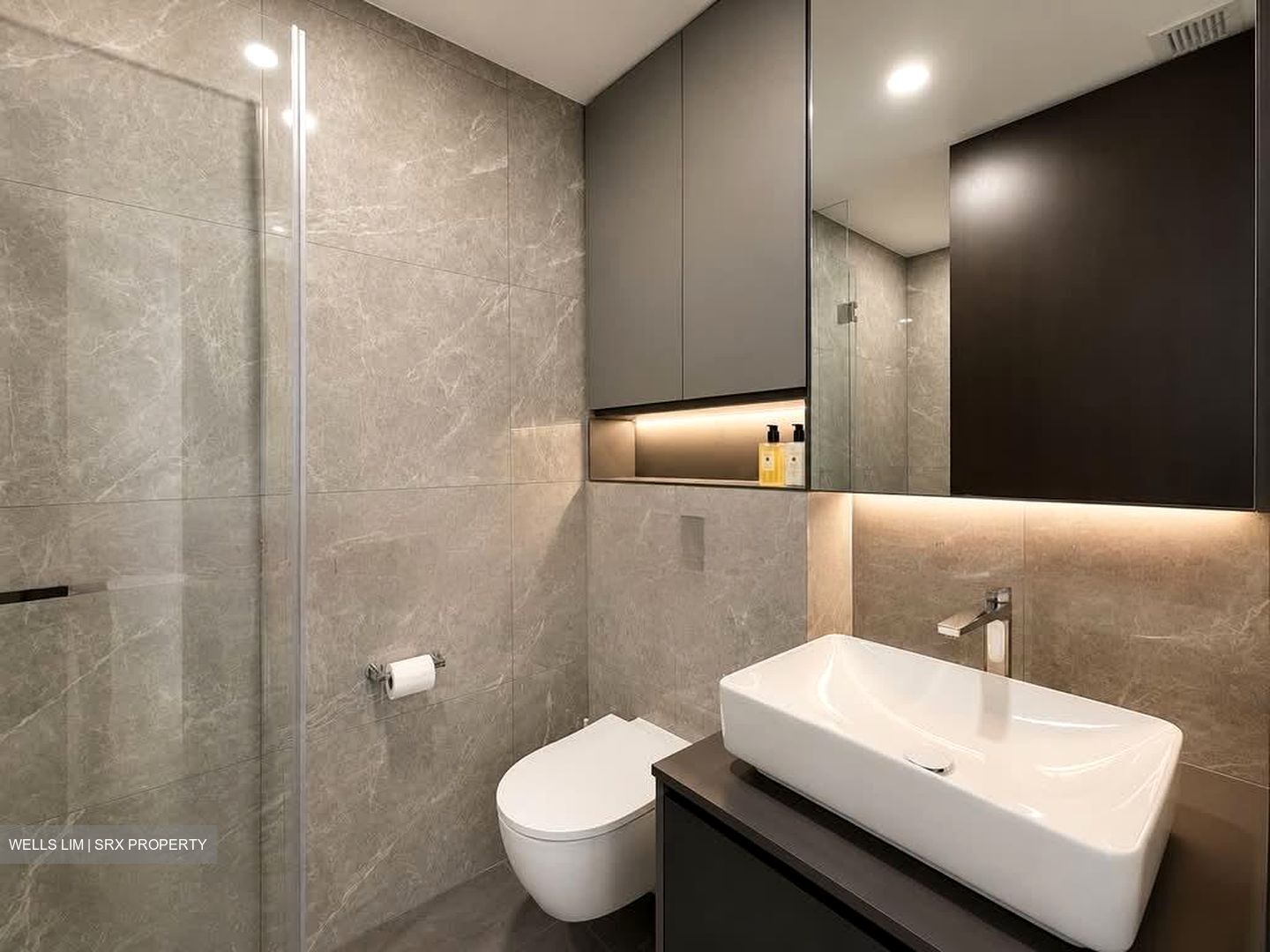 Irwell Hill Residences (D9), Apartment #592617911